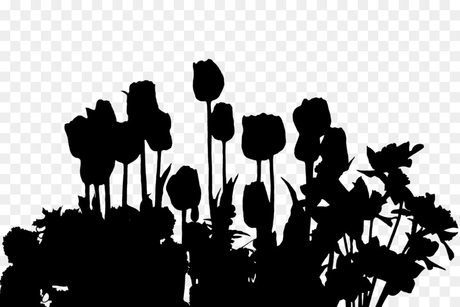 Tulip Flower garden Clip art Portable Network Graphics -  png download - 1280*853 - Free Transparent Tulip png Download.