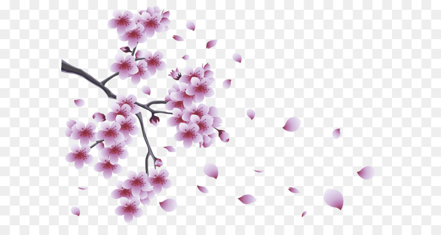 Flower Spring Branch Clip art - Spring Branch with Tree Flowers PNG Clipart png download - 4522*3244 - Free Transparent Spring png Download.