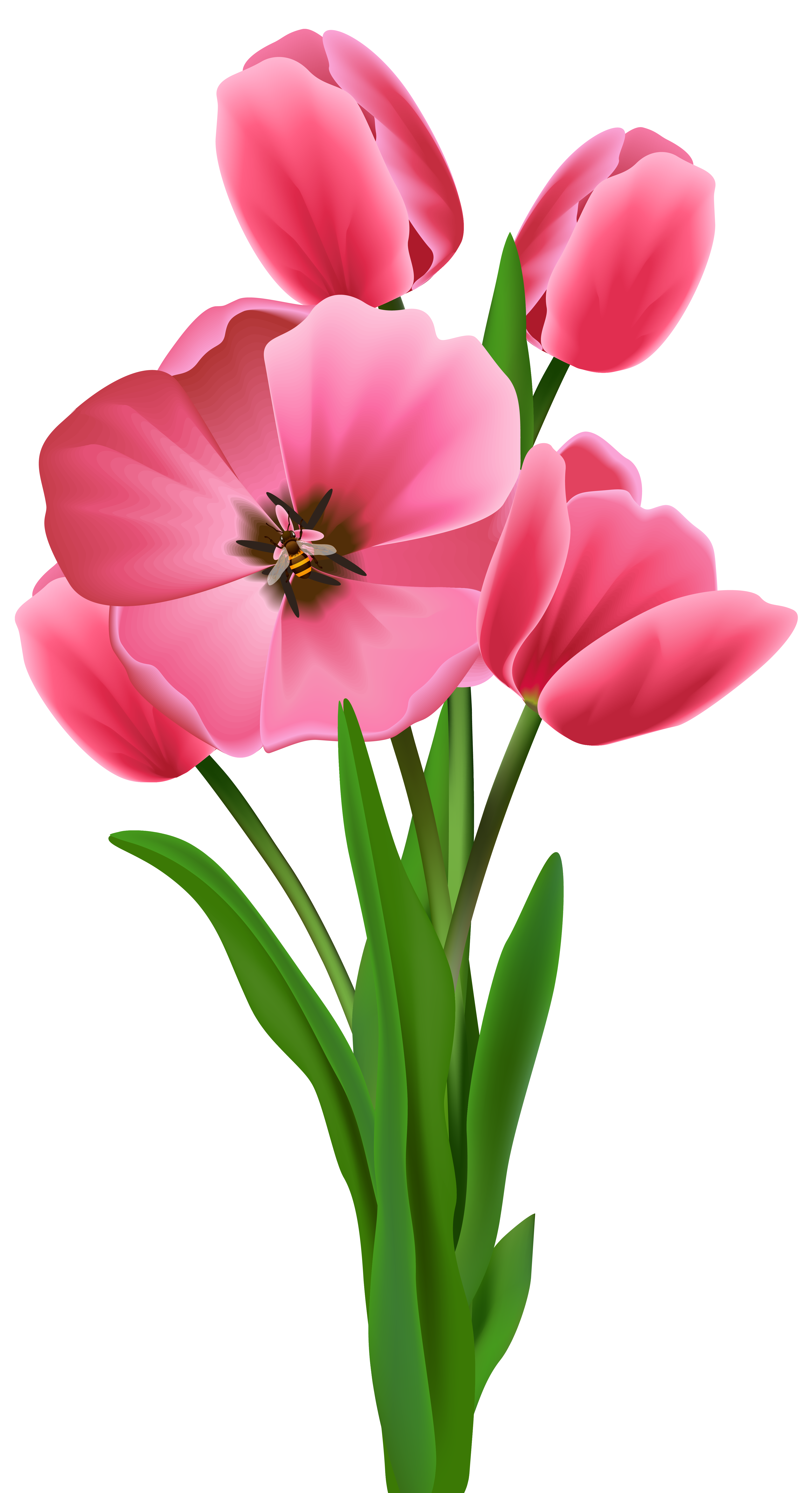 Wish Morning YouTube Good Drawing - spring flowers png download - 3942*