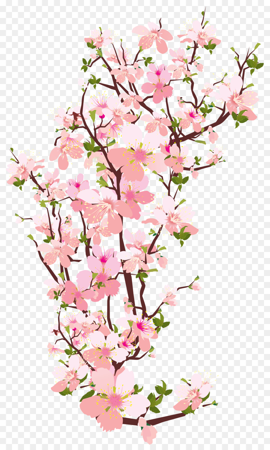 Branch Tree Cherry blossom Clip art - Transparent Spring Cliparts png download - 4338*7223 - Free Transparent Branch png Download.