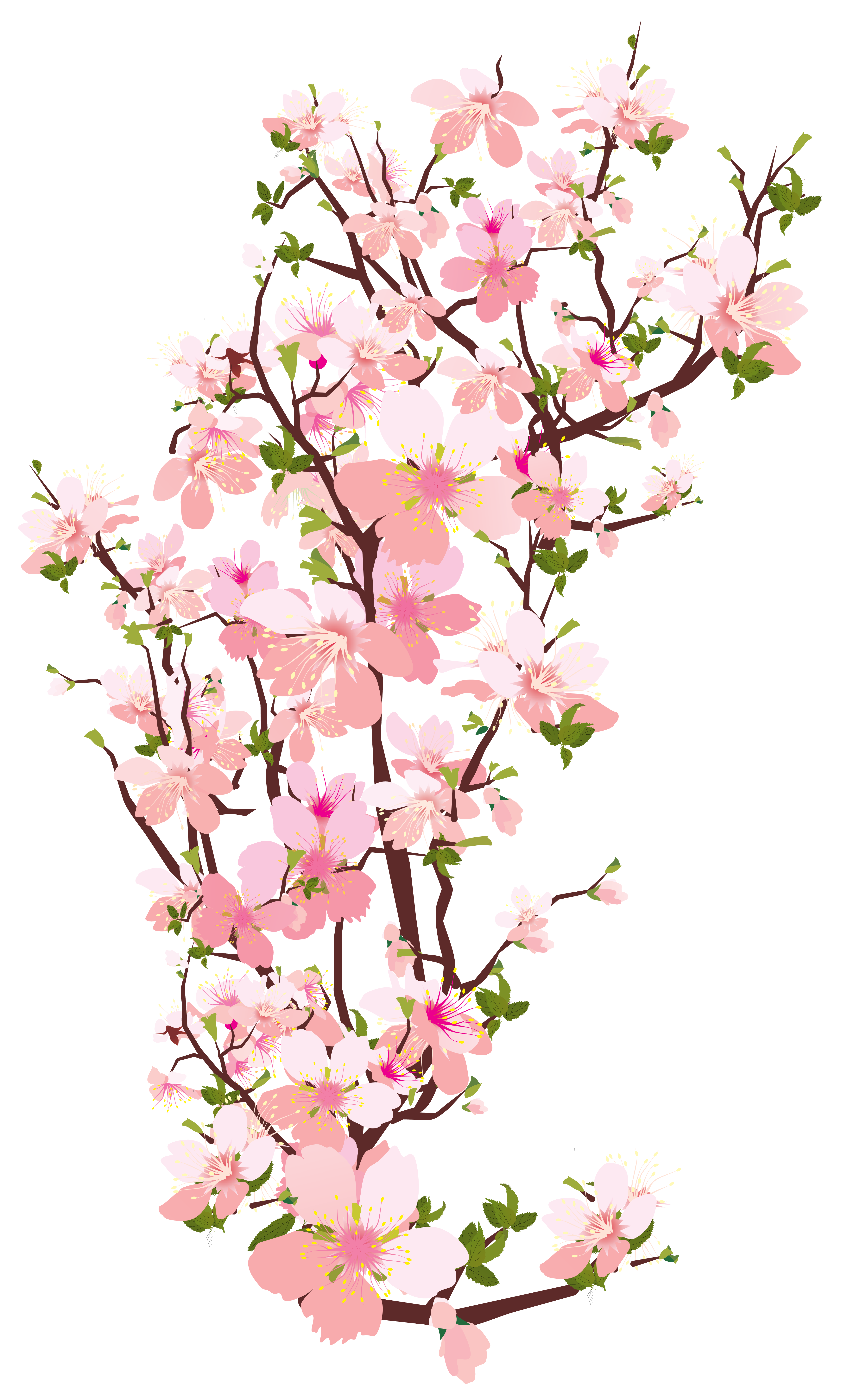 Branch Tree Cherry blossom Clip art - Transparent Spring Cliparts png