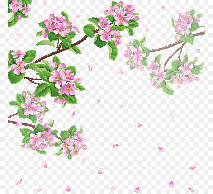 Spring Flower Cherry blossom - Cherry blossoms png download - 833*815 - Free Transparent Spring png Download.