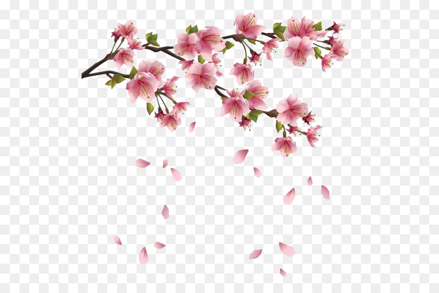 Flower Spring Branch Clip art - Floating flower petals png download - 566*600 - Free Transparent Flower png Download.