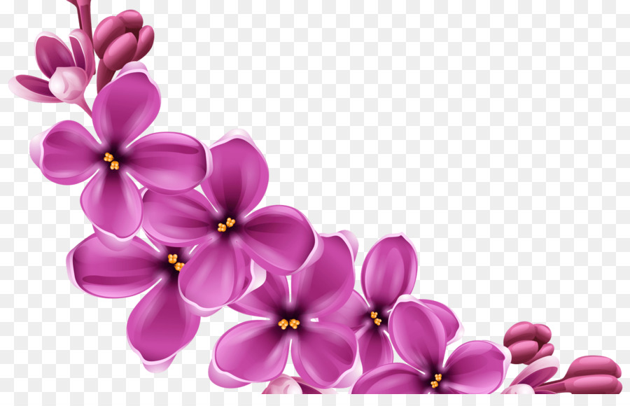 Portable Network Graphics Clip art Transparency Flower Image - poster background png spring png download - 1368*855 - Free Transparent Flower png Download.