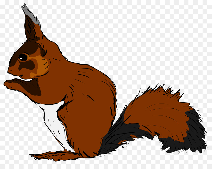 Squirrel Drawing Scalable Vector Graphics Clip art - squirrel png download - 900*705 - Free Transparent Squirrel png Download.