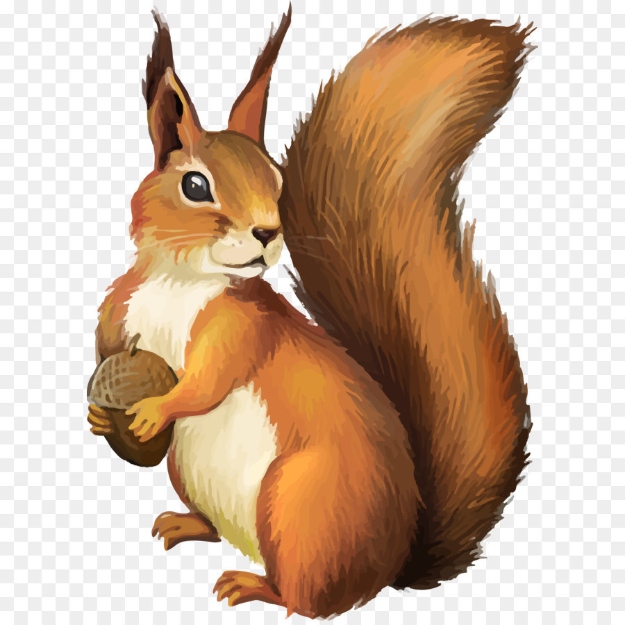 Squirrel Clip art - Squirrel PNG png download - 2726*3750 - Free Transparent Chipmunk png Download.