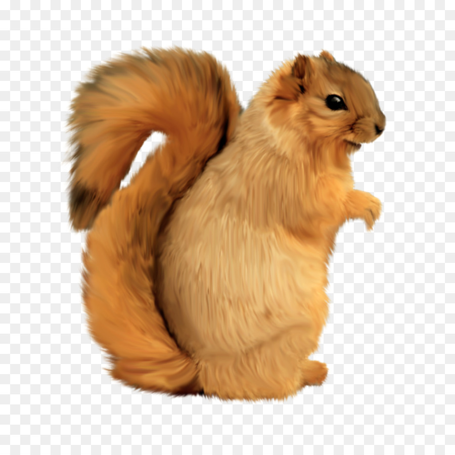Tree squirrel - Es Campur png download - 1000*1000 - Free Transparent Squirrel png Download.