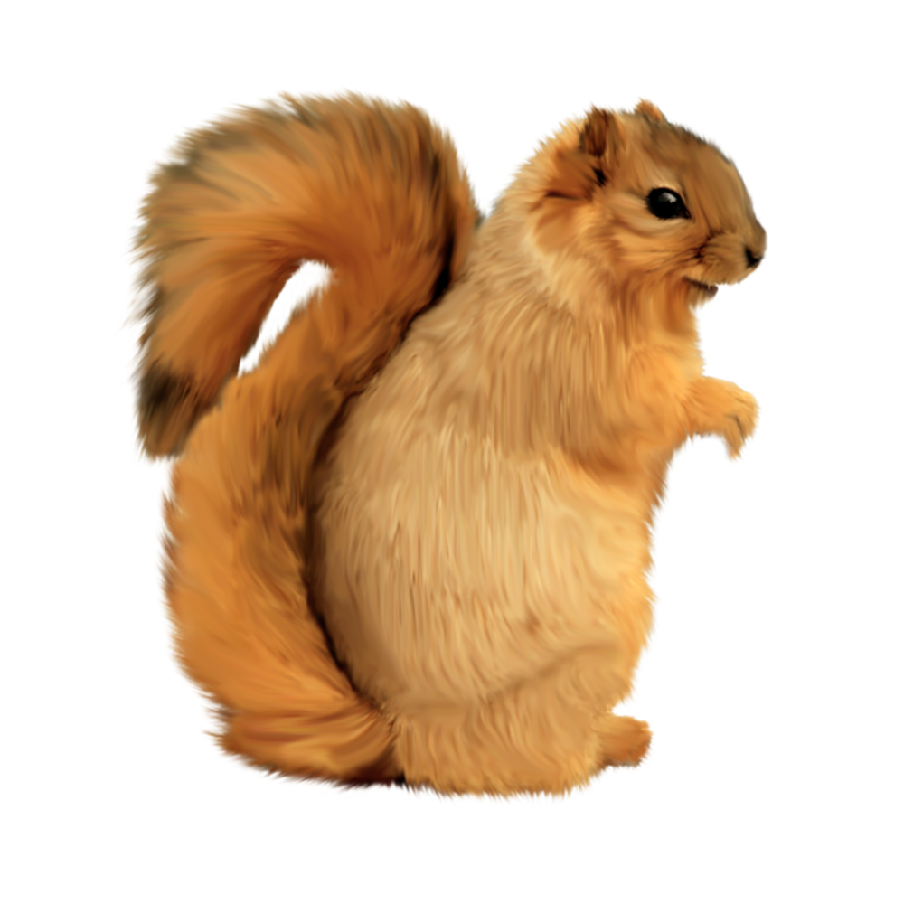 Transparent Background Squirrel Clipart Png 5560108 Pinclipart Images