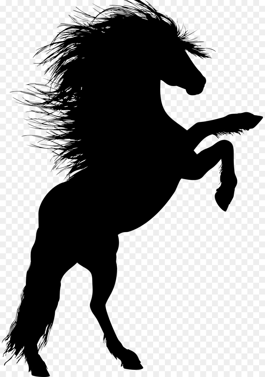 Horse Stallion Rearing Silhouette Unicorn - animal silhouettes png download - 887*1280 - Free Transparent Horse png Download.