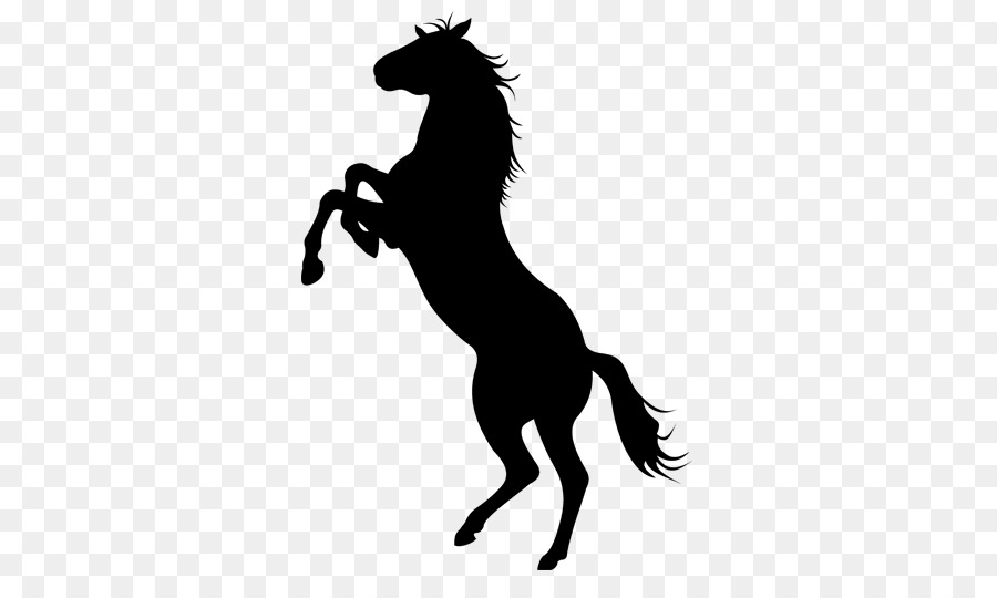Mustang Appaloosa Stallion Silhouette - mustang png download - 700*525 - Free Transparent Mustang png Download.