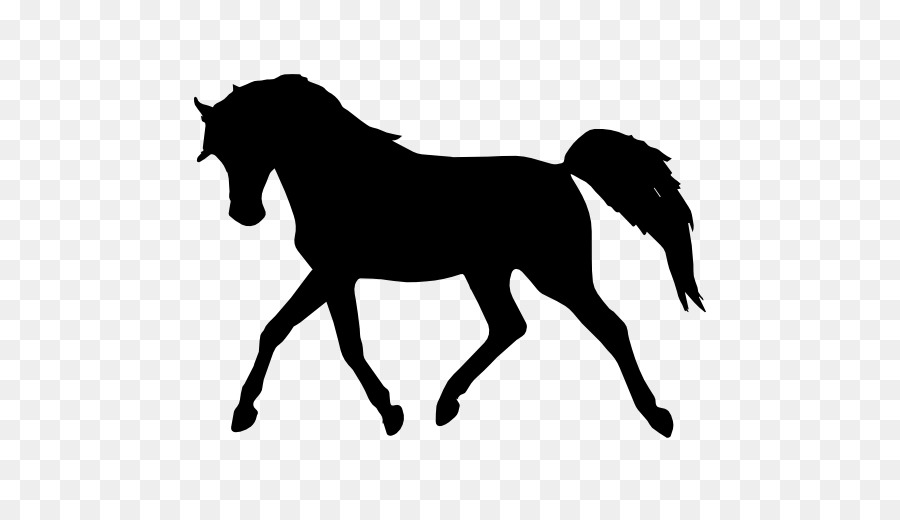 Arabian horse Silhouette Standing Horse - horse silhouette png download - 512*512 - Free Transparent Arabian Horse png Download.