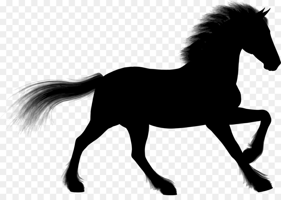 Stallion Arabian horse Foal Silhouette Clip art - Silhouette png download - 2289*1589 - Free Transparent Stallion png Download.