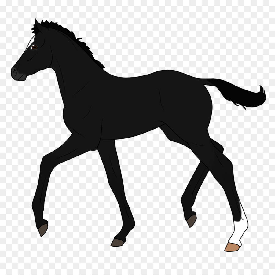 Dutch Warmblood Pony Stallion Mare Silhouette - Silhouette png download - 894*894 - Free Transparent Dutch Warmblood png Download.