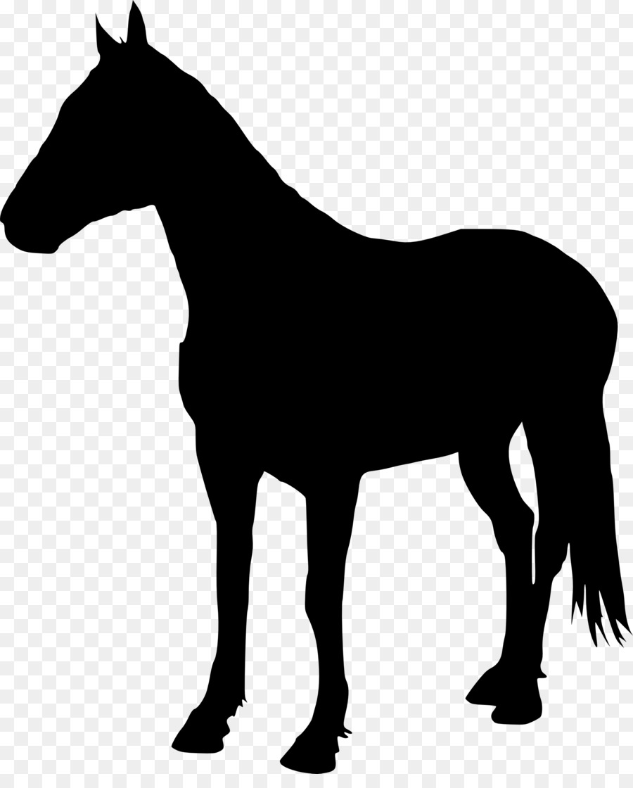 American Quarter Horse Stallion Pony Halter Silhouette - 5 png download - 2366*2893 - Free Transparent American Quarter Horse png Download.