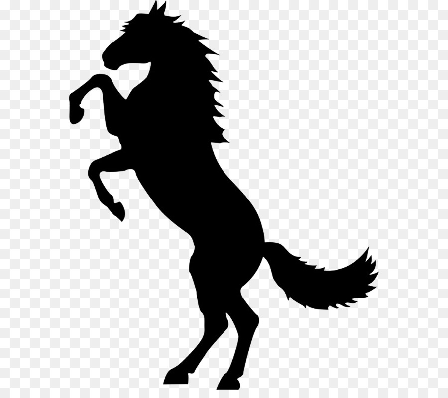 Mustang Rearing Stallion Stencil Silhouette - mustang png download - 624*783 - Free Transparent Mustang png Download.