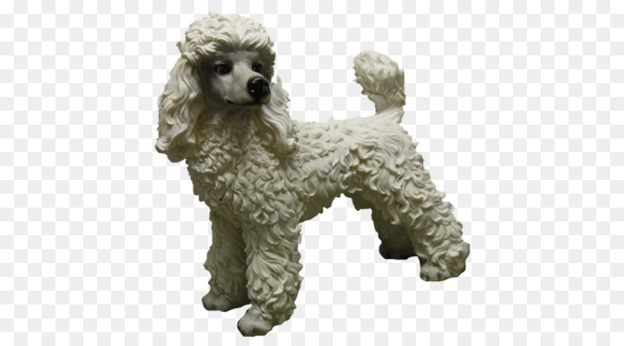 Standard Poodle Miniature Poodle Toy Poodle Puppy - puppy png download - 500*500 - Free Transparent Standard Poodle png Download.