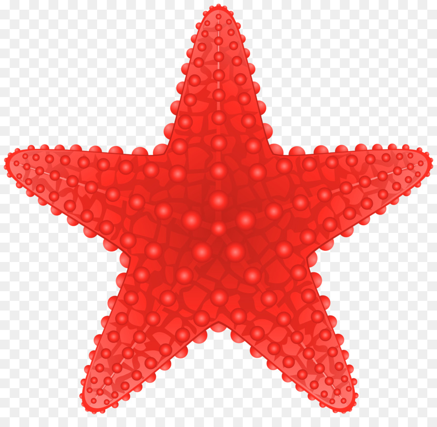 Starfish Royalty-free Clip art - Starfish Cliparts png download - 6000*5741 - Free Transparent Starfish png Download.