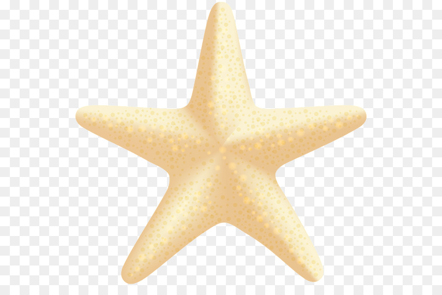 Starfish Clip art - sea star png download - 600*581 - Free Transparent Starfish png Download.