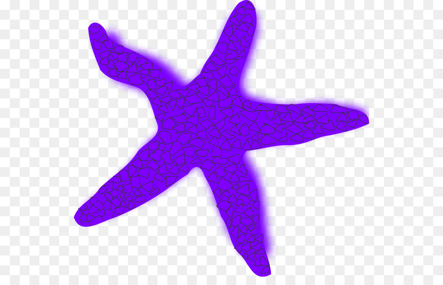 Starfish Free content Clip art - Starfish Cliparts-Vector png download - 600*563 - Free Transparent Starfish png Download.