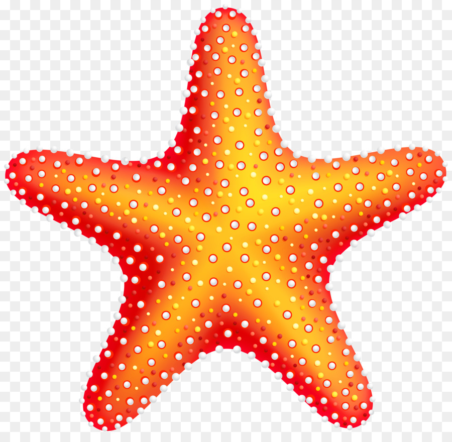 Starfish Clip art - Star Ocean png download - 6000*5781 - Free Transparent Starfish png Download.