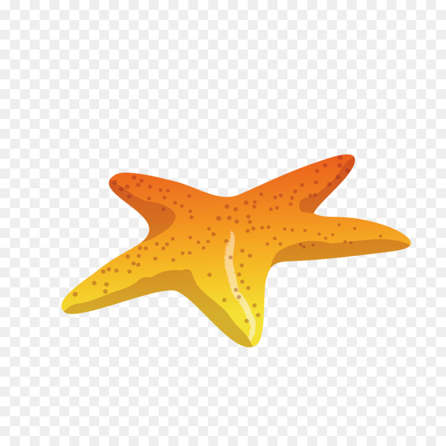 Starfish Sea Download - starfish png download - 2362*2362 - Free Transparent Starfish png Download.
