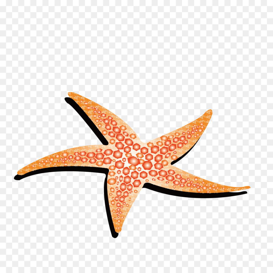 Starfish Animation - Yellow starfish png download - 4214*4214 - Free Transparent Starfish png Download.