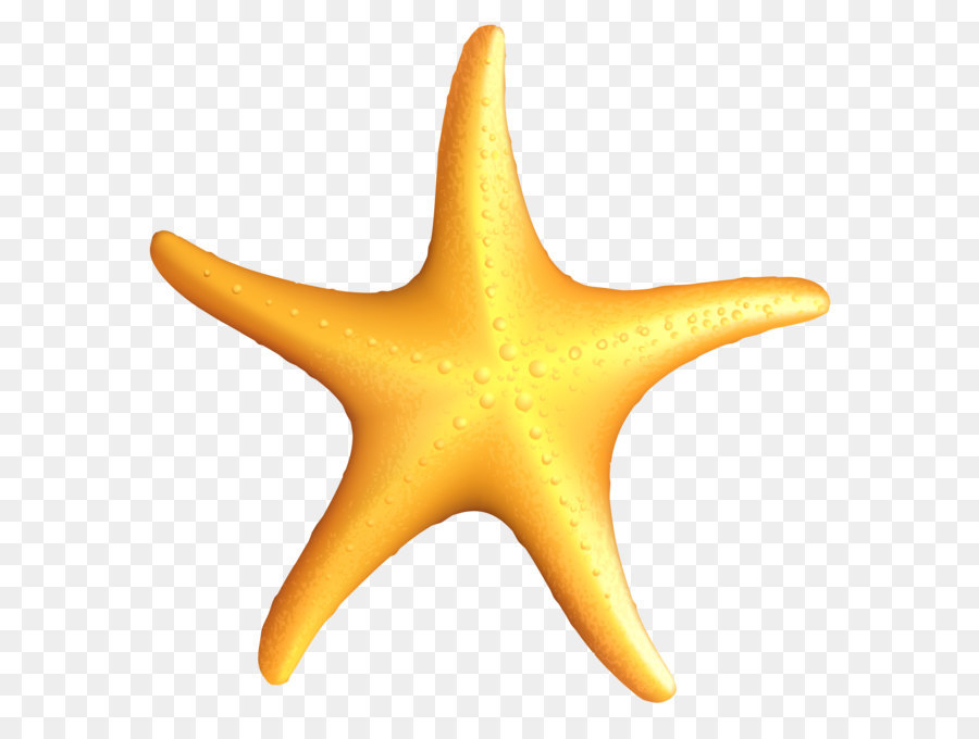 Starfish Clip art - Transparent Beach Starfish PNG Clipart png download - 2488*2558 - Free Transparent A Sea Star png Download.