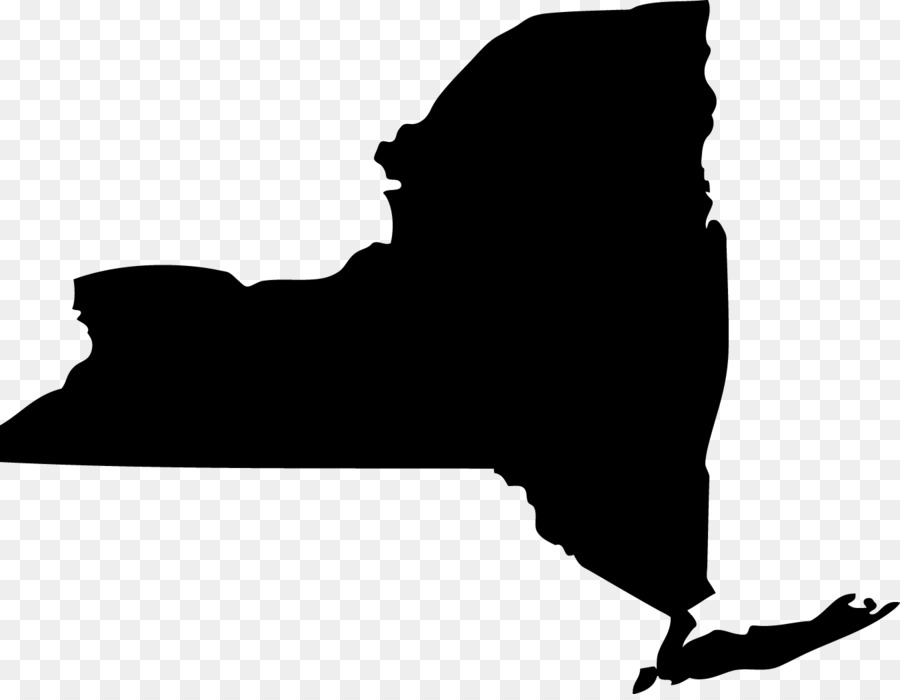 New York City U.S. state Organization Service of process New York State Senate - New York City png download - 1350*1041 - Free Transparent New York City png Download.