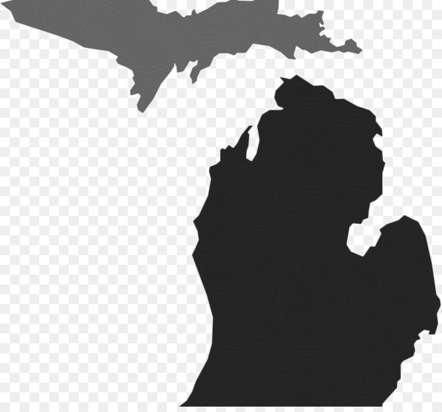 Lansing Marquette Michigan State University Great Lakes - West Side png download - 905*834 - Free Transparent Lansing png Download.