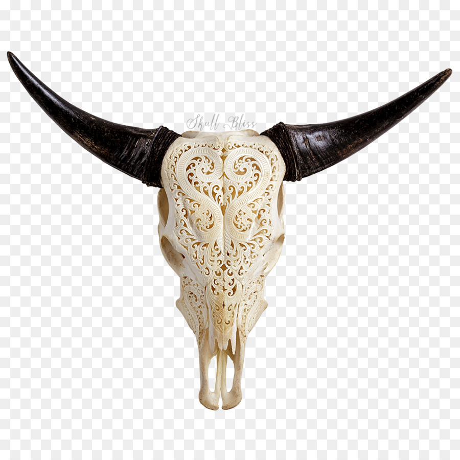 Texas Longhorn Animal Skulls Bull - skull png download - 1000*1000 - Free Transparent Texas Longhorn png Download.