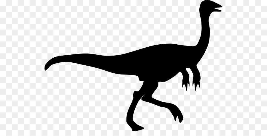 Gallimimus Velociraptor Silhouette - Dinosaur outline png download - 600*444 - Free Transparent Gallimimus png Download.