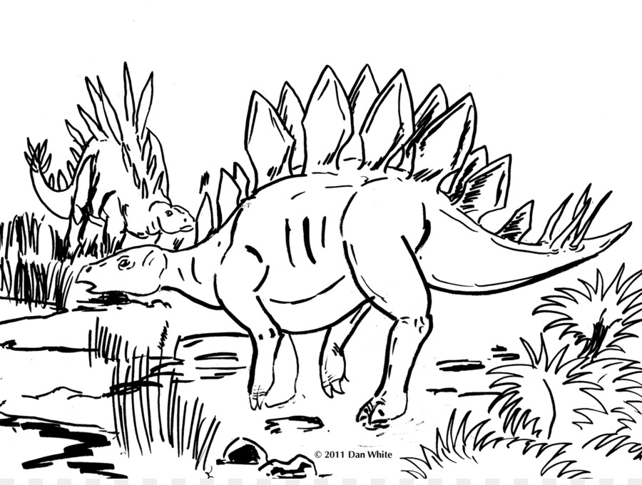 Stegosaurus Tyrannosaurus Dinosaur Pictures Coloring book - stegosaurus outline png download - 1600*1193 - Free Transparent Stegosaurus png Download.