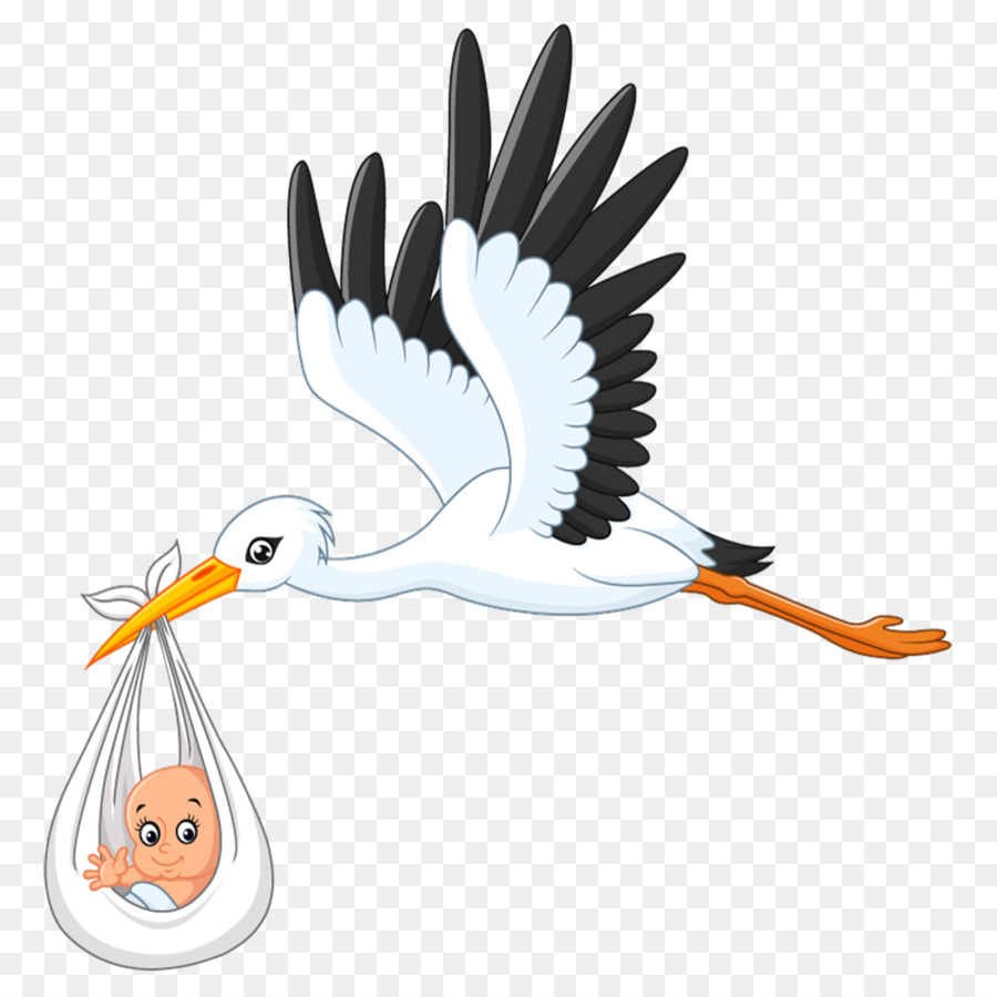 White stork Infant Clip art - baby background png download - 1600*1600 - Free Transparent White Stork png Download.