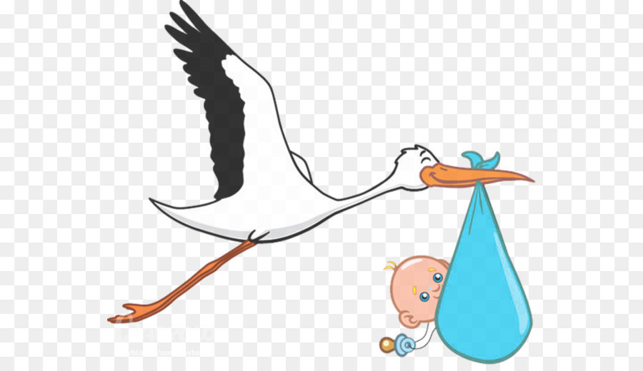 Paris Bird Infant Ciconia Pregnancy - Hand painted baby storks png download - 600*511 - Free Transparent White Stork png Download.