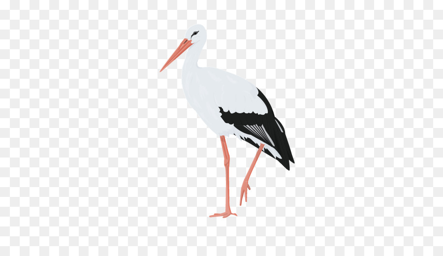 White stork Water bird Beak Woodpecker - bullfinch png download - 600*520 - Free Transparent White Stork png Download.