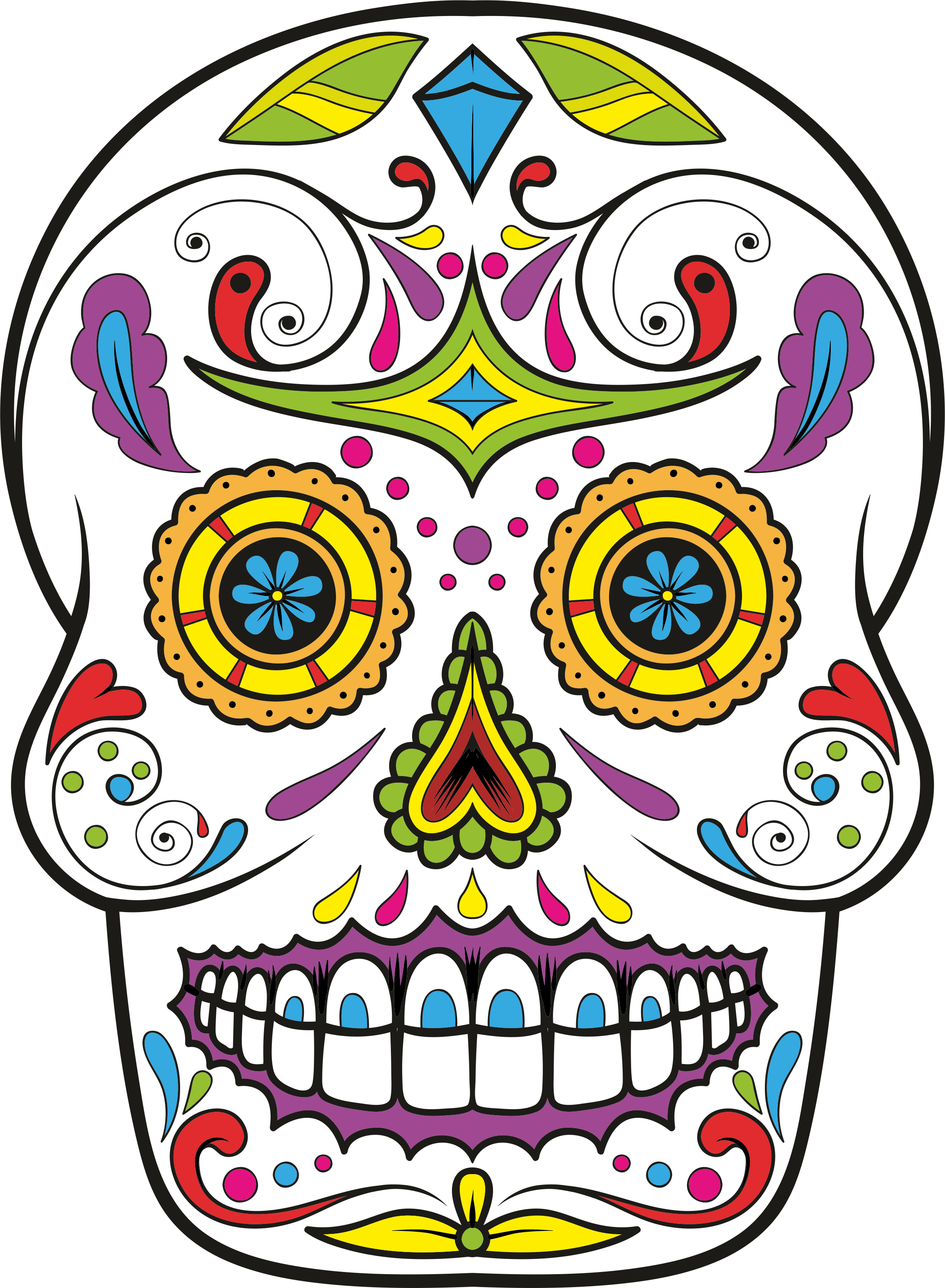 Calavera Skull Day Of The Dead Drawing Clip Art Sugar Png Download Calavera Skull Day Of The Dead Drawing Clip Art Sugar Png Download