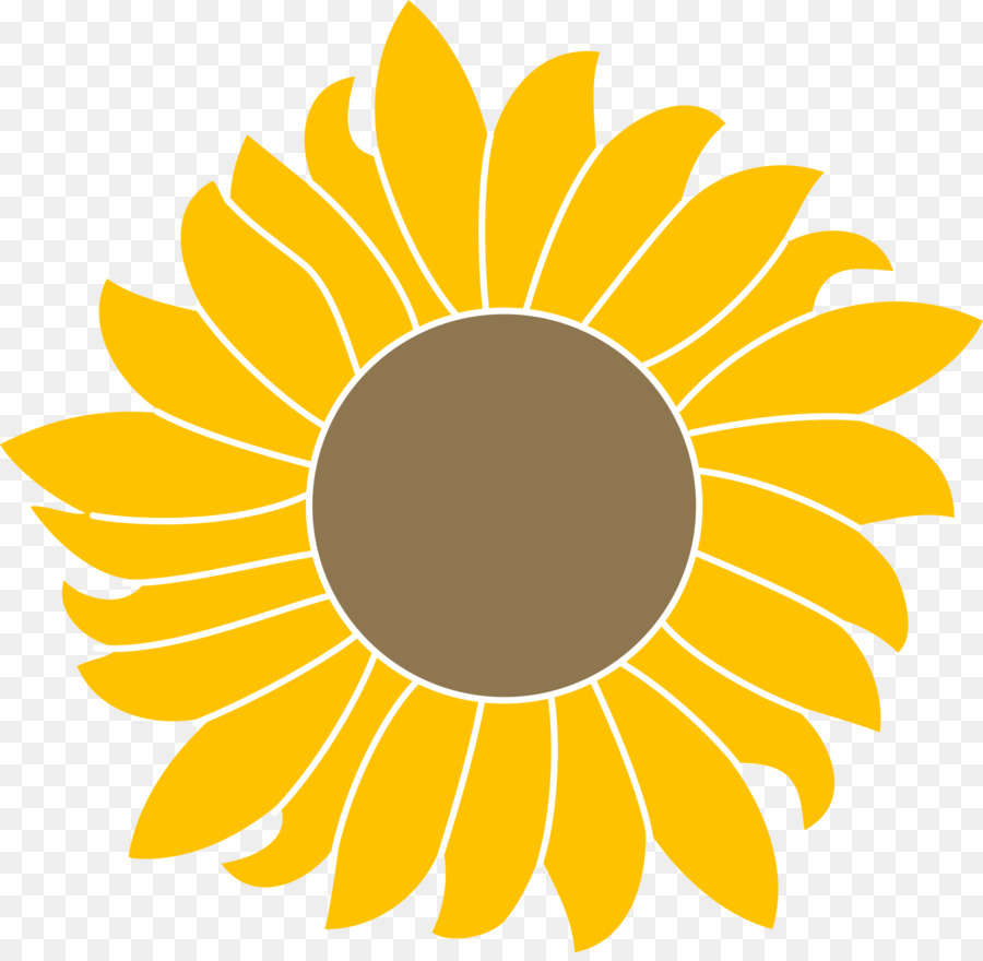 Common sunflower Scalable Vector Graphics Portable Network Graphics Clip art Sunflower seed - sunflower clipart black and white png download - 2000*1938 - Free Transparent Common Sunflower png Download.
