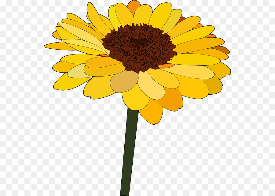 Common sunflower Cartoon Drawing Clip art - Blooming sunflowers png download - 613*640 - Free Transparent Common Sunflower png Download.