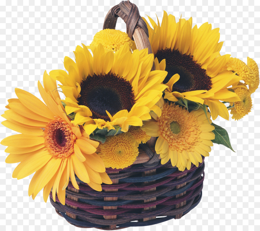 Royalty-free Basket Common sunflower Garden - sunflowers png download - 1200*1064 - Free Transparent Royaltyfree png Download.