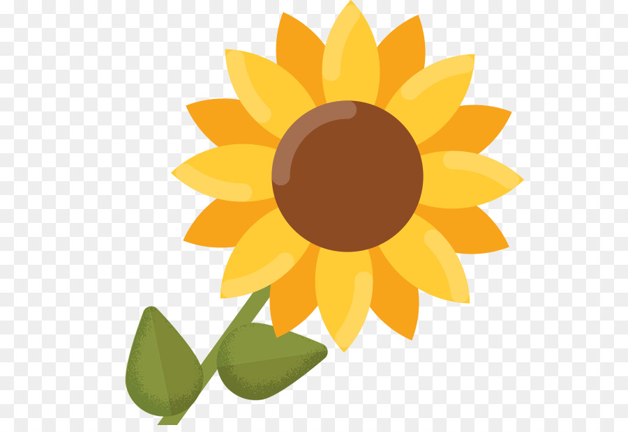 Common sunflower Clip art - sun flower png download - 618*610 - Free Transparent Common Sunflower png Download.