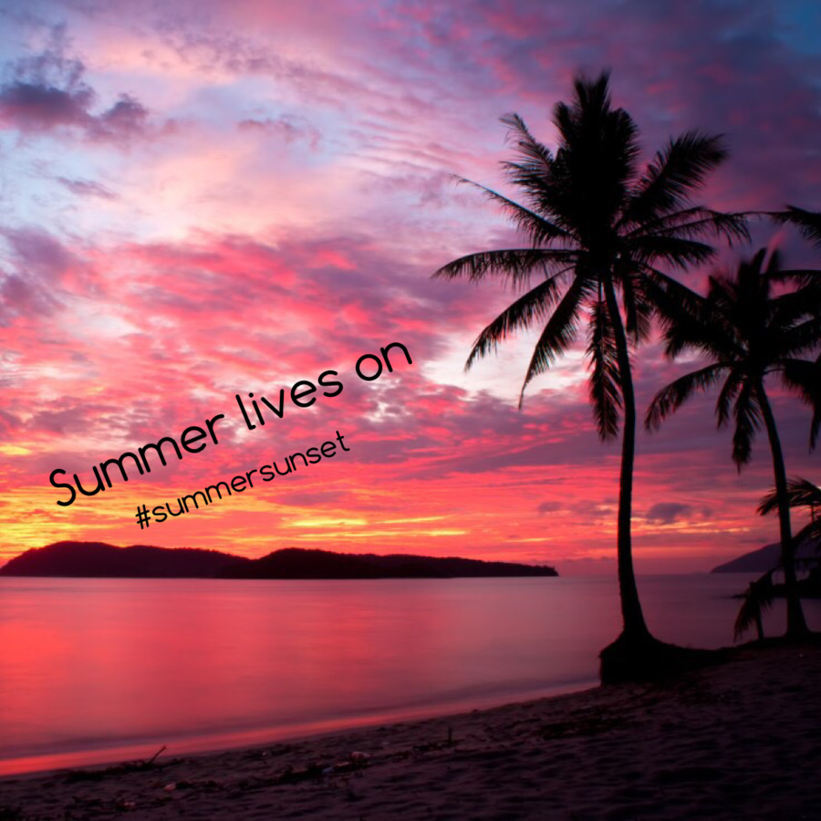 Free Sunset Silhouette Beach, Download Free Clip Art, Free Clip Art on