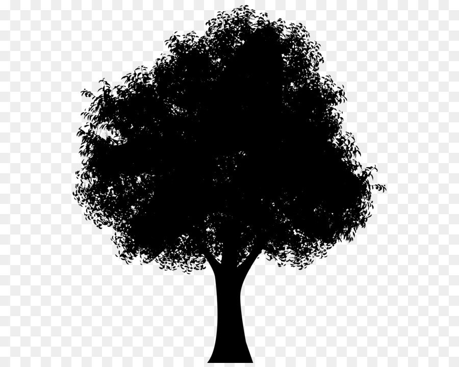 Silhouette Tree Woman of the Promise Clip art - Tree PNG Silhouette Clip Art Image png download - 7301*8000 - Free Transparent Silhouette png Download.