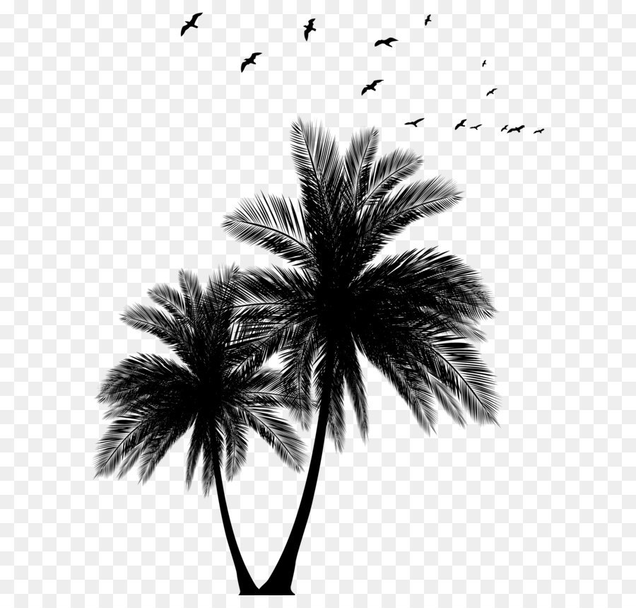 Sunset Arecaceae Euclidean vector Silhouette - Palms and Flock Silhouette PNG Clip Art Image png download - 6175*8000 - Free Transparent Silhouette png Download.