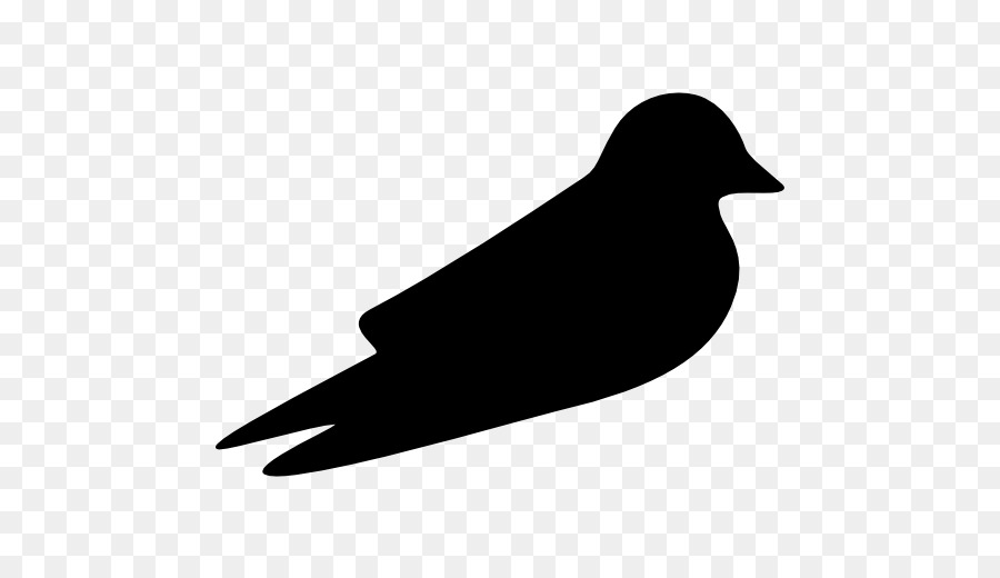 Barn swallow Bird Beak Clip art - Bird png download - 512*512 - Free Transparent Swallow png Download.