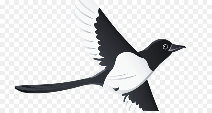 Bird Beak Swallow Tattoo Clip Art Clip art - Bird png download - 1200*630 - Free Transparent Bird png Download.