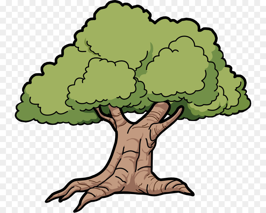 Tree Cartoon Drawing Clip art - Swamp Tree Cliparts png download - 800*719 - Free Transparent  png Download.