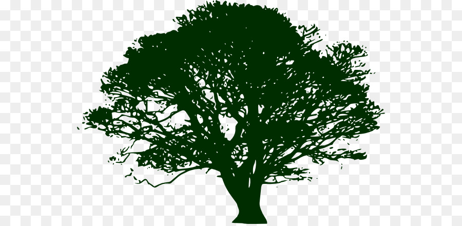 Tree Silhouette Swamp Spanish oak Clip art - narratree png download - 600*436 - Free Transparent Tree png Download.