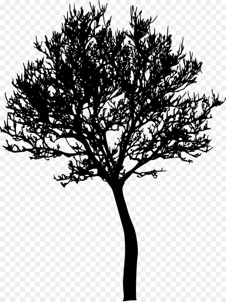 Tree Photography Silhouette - tree silhouette png download - 1163*1547 - Free Transparent Tree png Download.