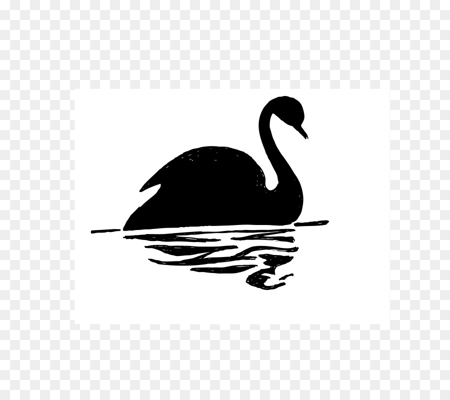 Black swan Drawing Clip art - Swan Cliparts png download - 800*800 - Free Transparent Black Swan png Download.
