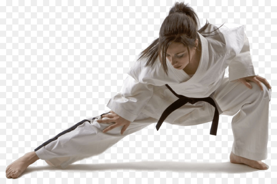 Playwell Martial Arts Taekwondo Self-defense Korean martial arts - photo demonstration png download - 1024*671 - Free Transparent Martial Arts png Download.